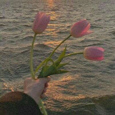 北京pk赛车app官网下载安装